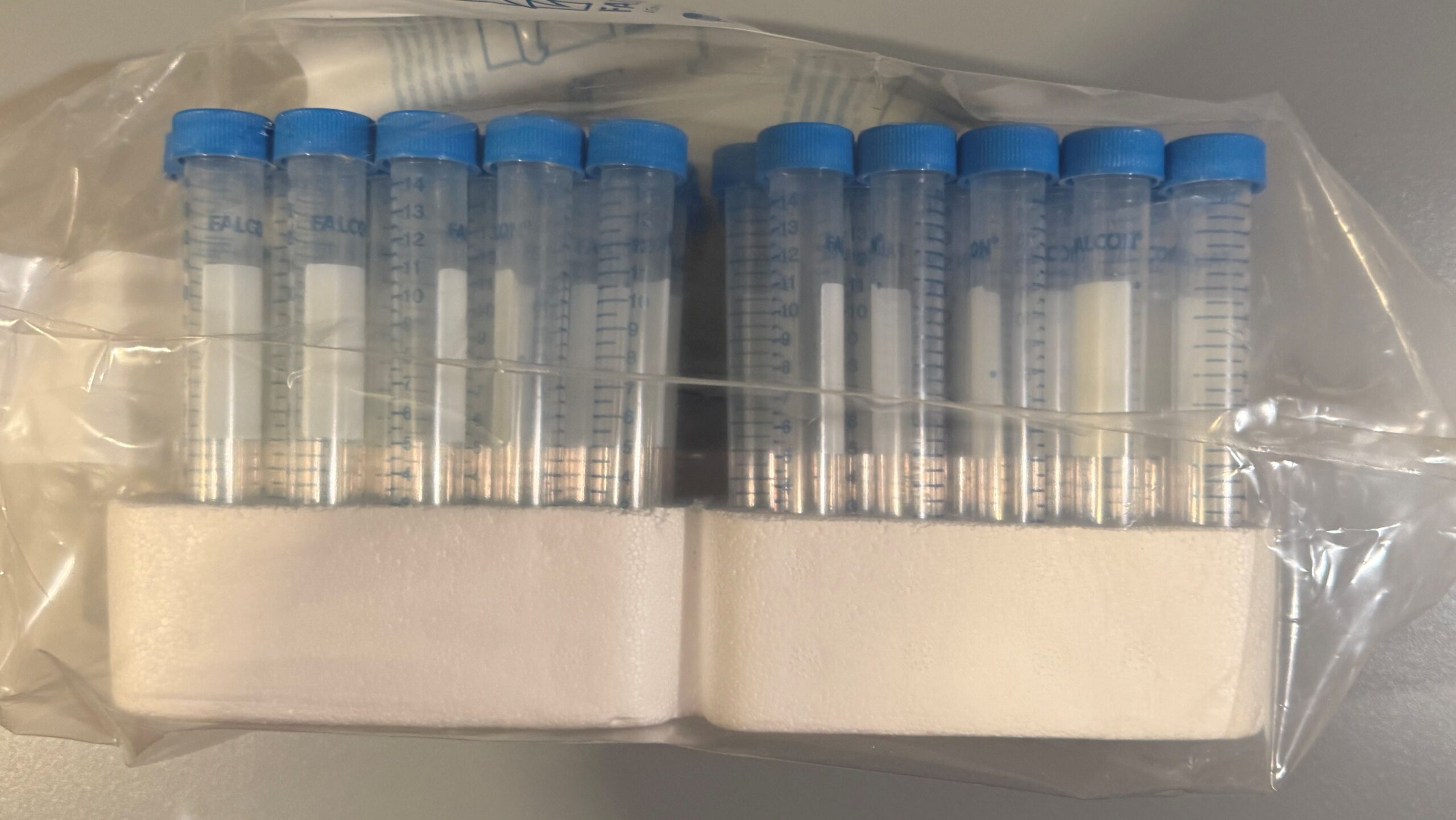 Falcon 15 ml High Clarity PP Centrifuge Tube, Conical Bottom, with Dome Seal Screw Cap, Sterile, 50/Rack - Image 2